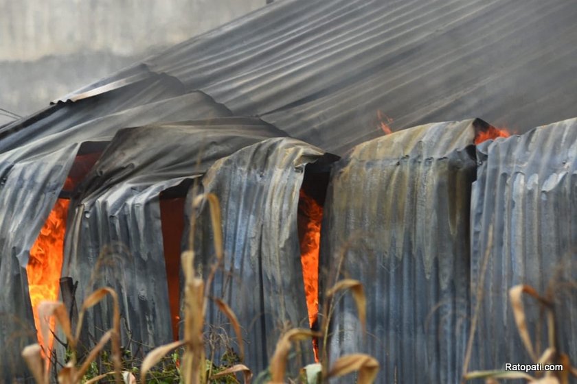 सोफा फ्याक्ट्रीमा भीषण आगलागी