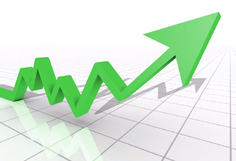 यी हुन् आइतबार १० प्रतिशतले शेयरमूल्य बढ्ने कम्पनी