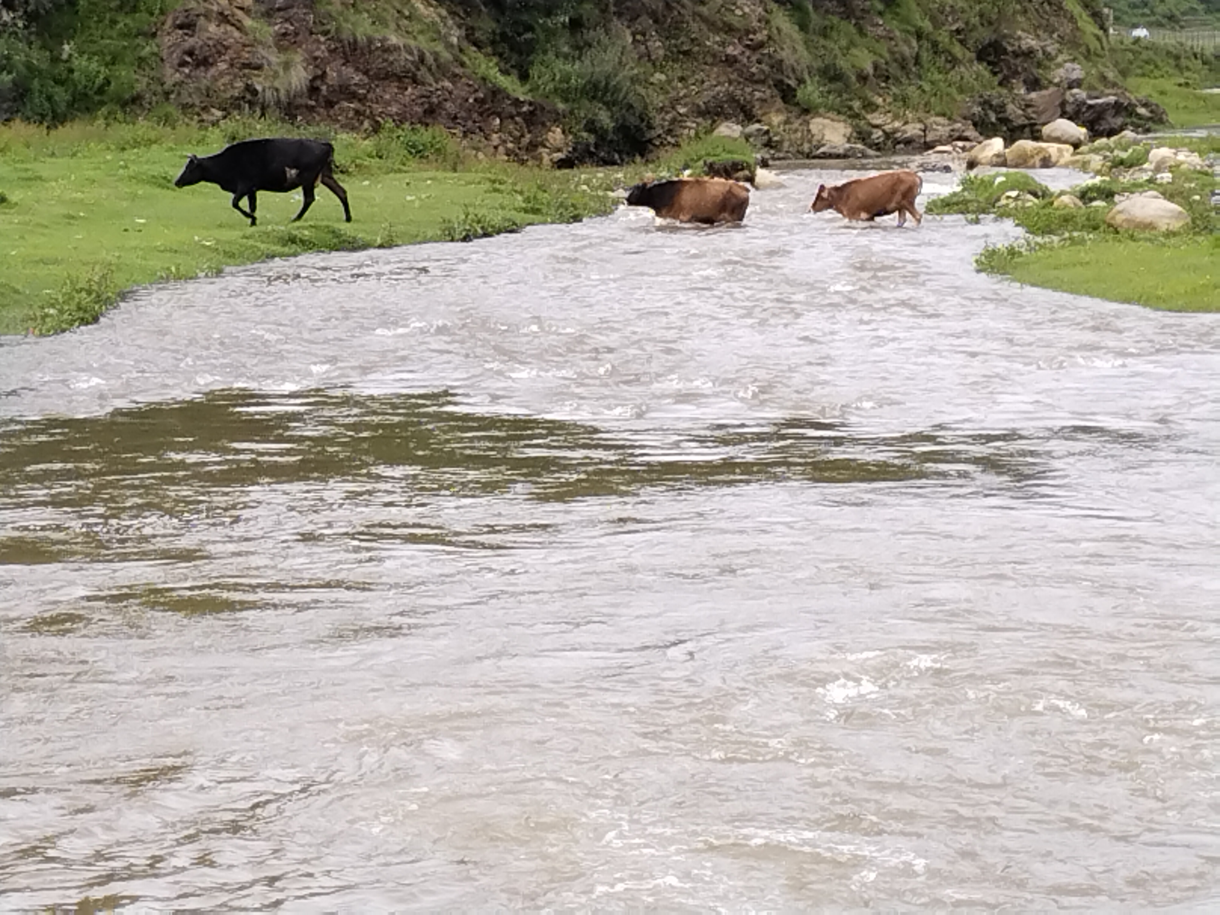 अबको ३ दिन मनसुन सक्रिय हुने, सतर्क रहन आग्रह अबको ३ दिन मनसुन सक्रिय हुने, सतर्क रहन आग्रह